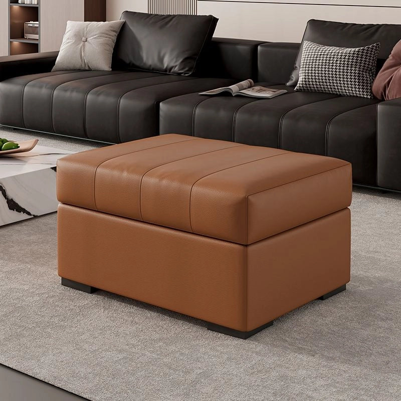 Tan ottoman picture with footrest, storage ottoman, modern rectangular form